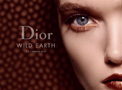 dior wild earth the bay|dior beauty canada.